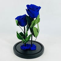 4272-153 - Image 6