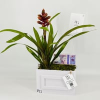 12840 - Image 3