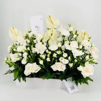 9650-549 - صورة 3