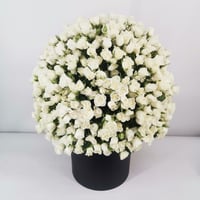 16543 - Image 2