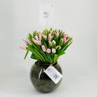 10604-384 - صورة 2