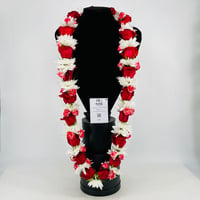 3419 - Image 1