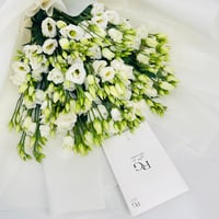 9254 - Image 4