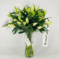 13268 - صورة 3