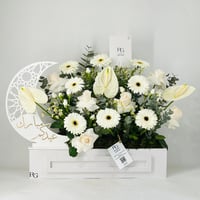 12073-754 - Image 1
