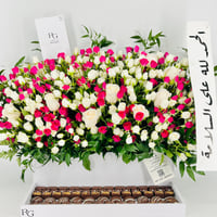 13427 - صورة 5