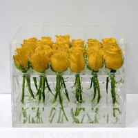 388 - صورة 1