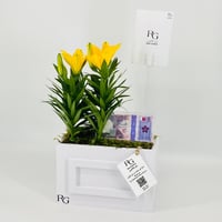 12828 - Image 3