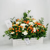 8308-67 - صورة 2