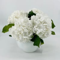 2606 - صورة 1