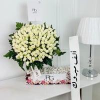 13448 - Image 1