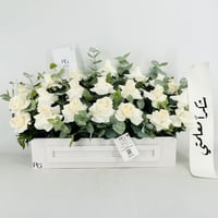 13983 - صورة 1