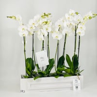 12359-714 - صورة 2