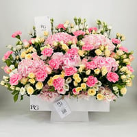 9893-351 - صورة 1
