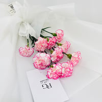 14236 - Image 4