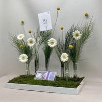 7715 - Image 2