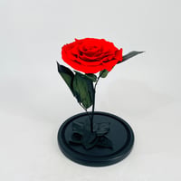 11238-499 - صورة 3