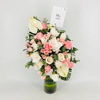 13354 - صورة 4