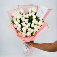543 - صورة 3