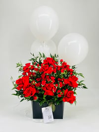 11185-164 - صورة 4