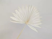 4315 - Image 1