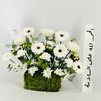 13332 - صورة 4