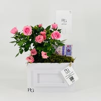 12856 - Image 1