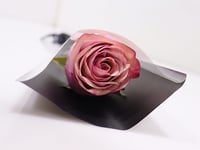 38-05 - صورة 3