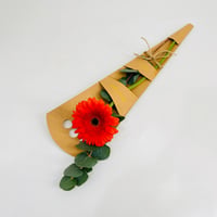 10191 - Image 2