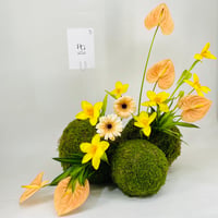 11707 - صورة 3