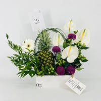 14203 - Image 1