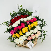 13927 - صورة 1