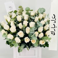 13543 - صورة 5