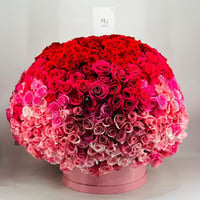 8635-442 - صورة 1