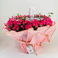 10480-298 - Image 1