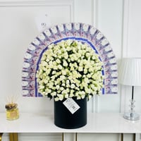 16391 - صورة 1