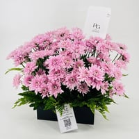 8723 - Image 3