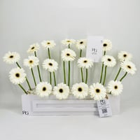 10670-107 - صورة 1