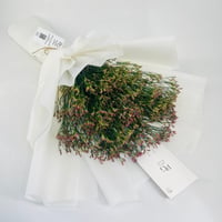 5049 - Image 4