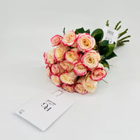 299-442 - صورة 2
