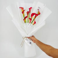 12506 - Image 1