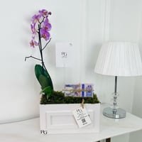 12364 - Image 1
