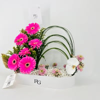 14513 - Image 3