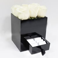 381 - صورة 1