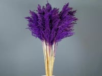 4325 - صورة 1