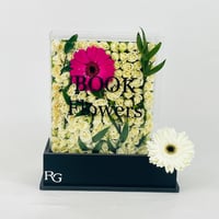 12519 - Image 1