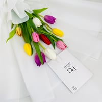 6630 - Image 4