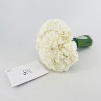 15295 - صورة 5