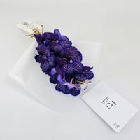 14234 - Image 2
