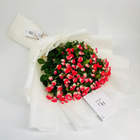 10555-344 - صورة 1